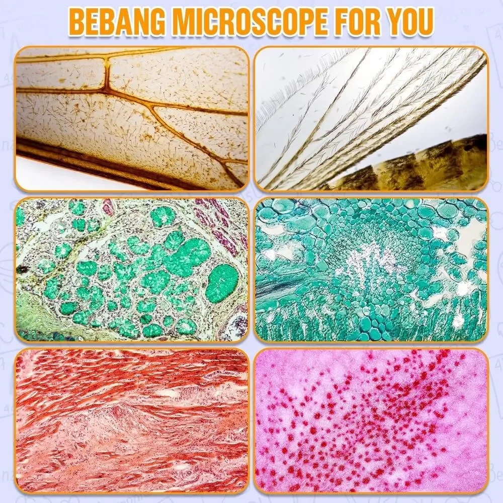 Bebang Pocket Microscope with Slides 60X-135X LED Light NIB